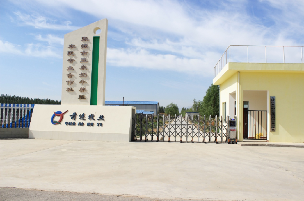 1677660631174325.png 8975.png