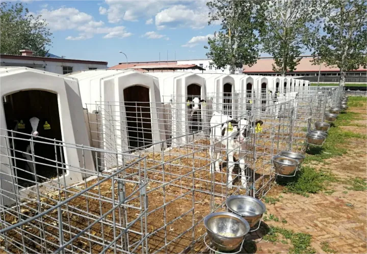 1681261976298450.png v2-4d73a845a8e8a4268a579cb30ae15a41_720w.png