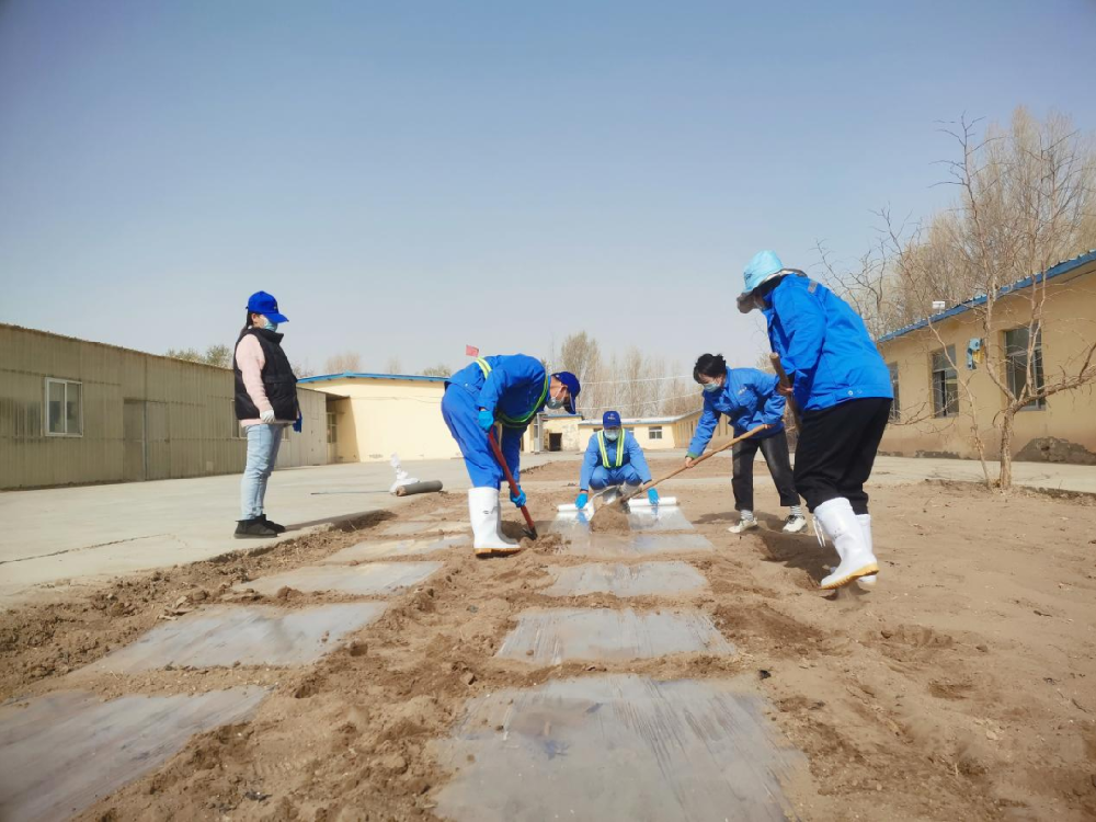 前進(jìn)集團(tuán)蓼泉牧場自力更生打造員工“小菜園”