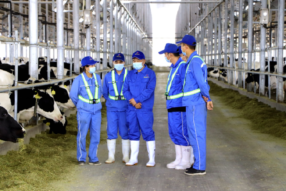 營造良好氛圍，激發(fā)員工動(dòng)能