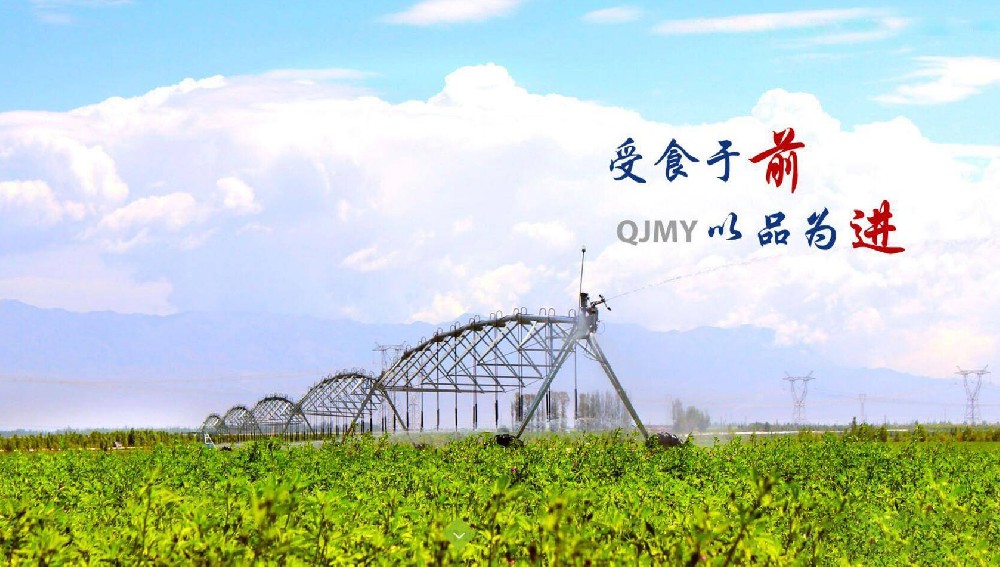 前進青年人才——默默付出，收獲快樂