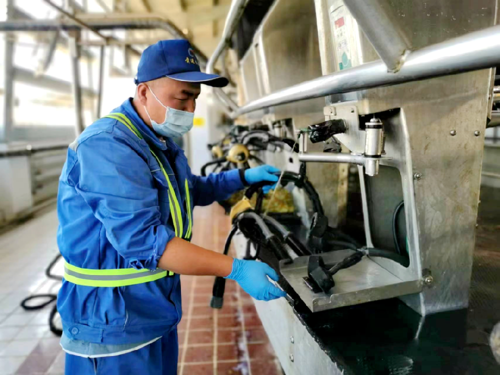 前進青年人才——秉初心勇毅前行，勤努力璀璨人生