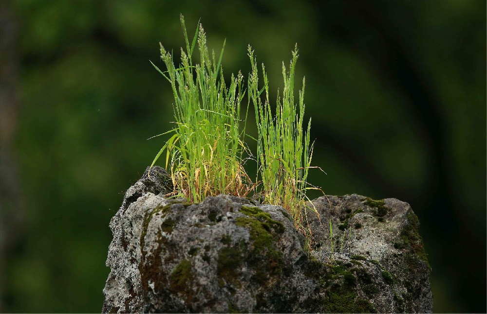 前進青年人才——堅韌不拔，玉汝于成