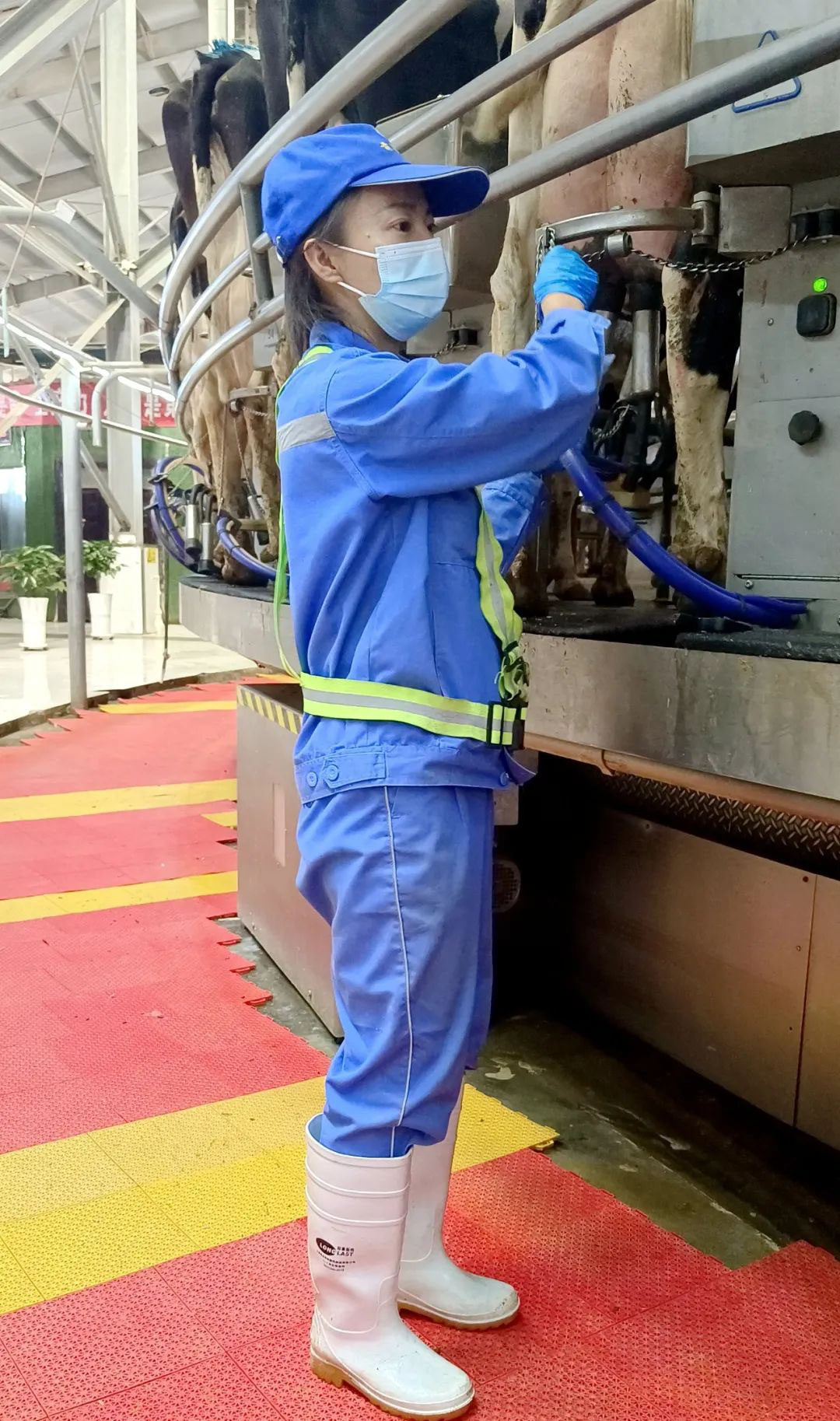 1687253534950016.jpg 640.jpg