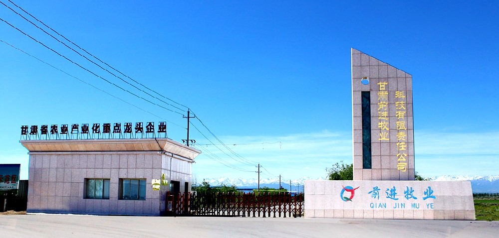 甘肅前進(jìn)牧業(yè)科技有限責(zé)任公司石崗墩萬頭牧場(前進(jìn)集團(tuán)石崗墩牧場)