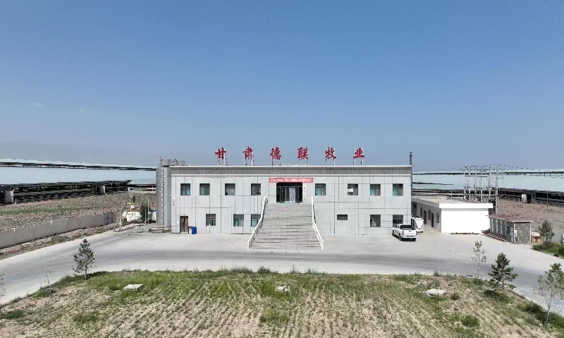 甘肅德聯(lián)牧業(yè)有限公司(前進(jìn)集團(tuán)德聯(lián)牧場)
