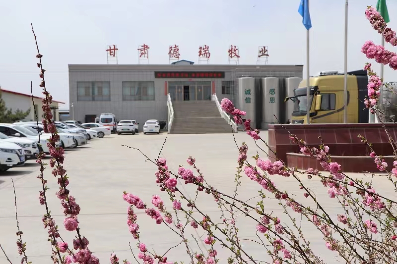 甘肅德瑞牧業(yè)有限公司簡介(前進(jìn)集團(tuán)德瑞牧場)