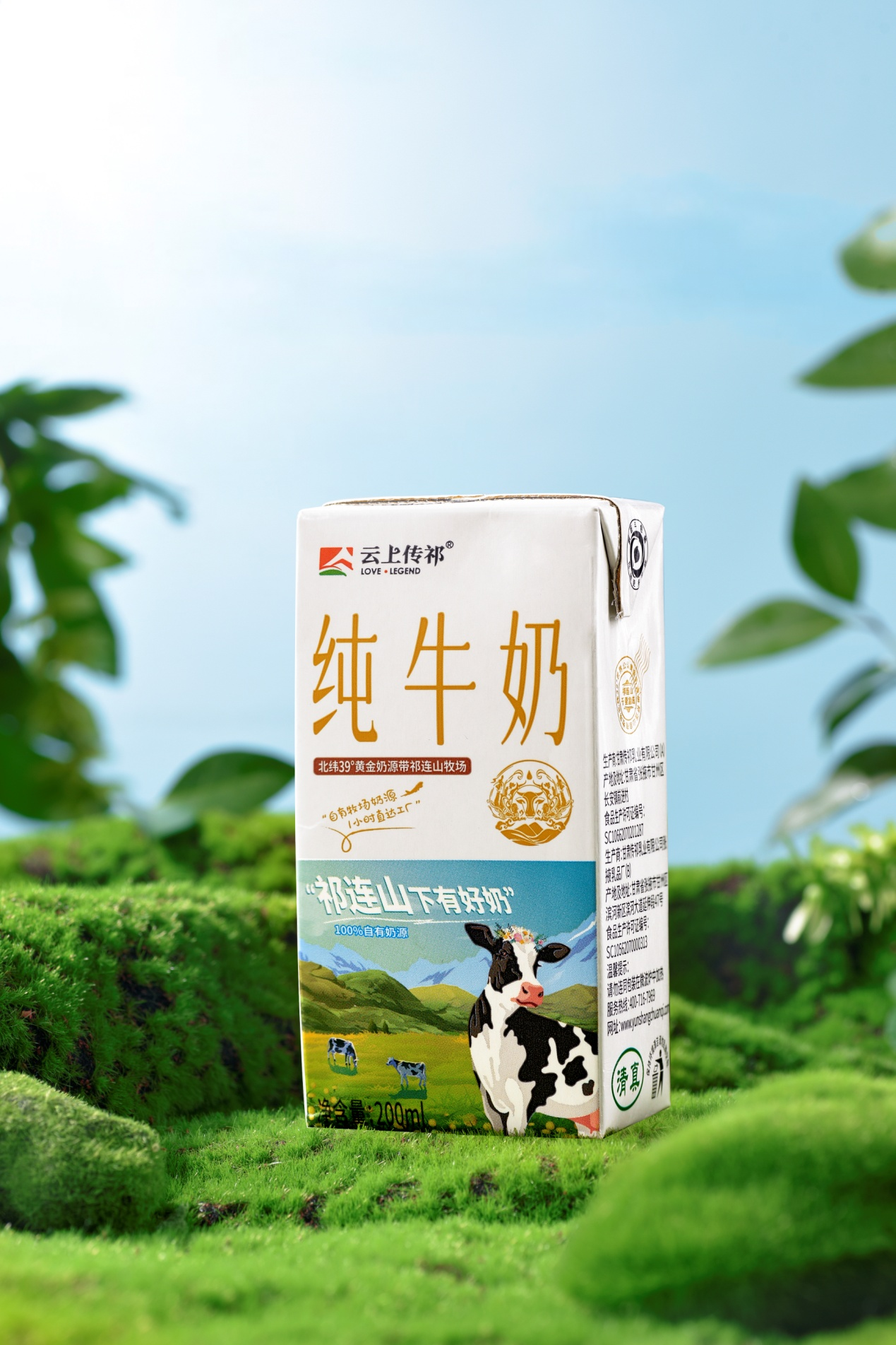 1698195229256544.png 33.png