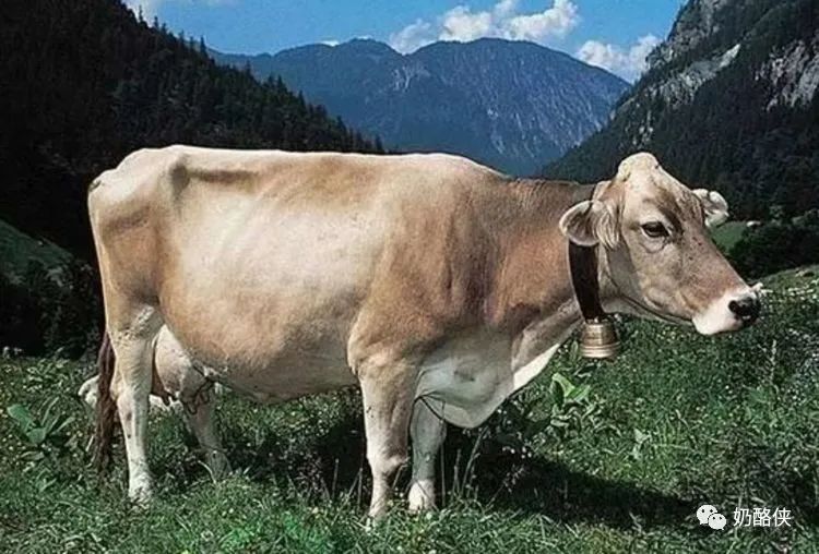 1698626598431912.jpg 5.jpg