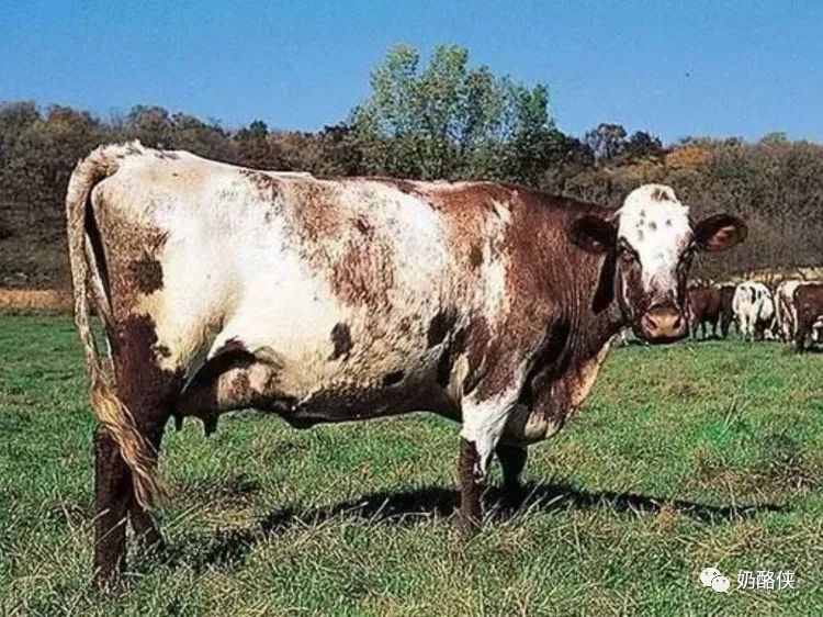 1698626642337624.jpg 10.jpg