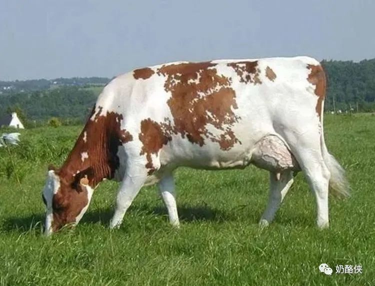 1698626654192616.jpg 11.jpg