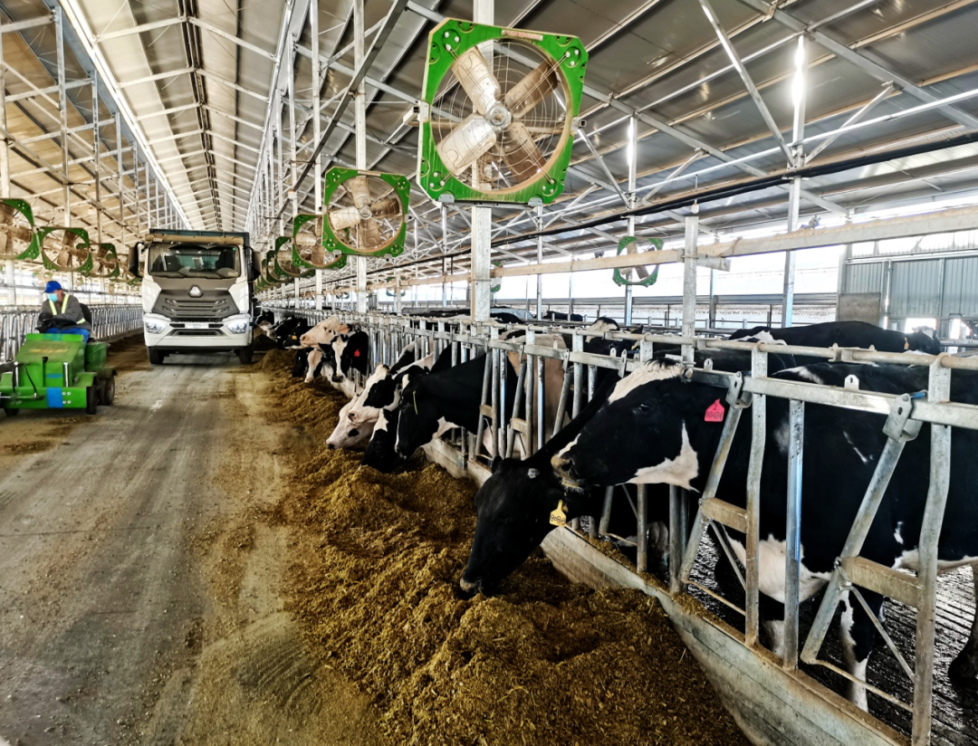 1699061934158431.png 640.png