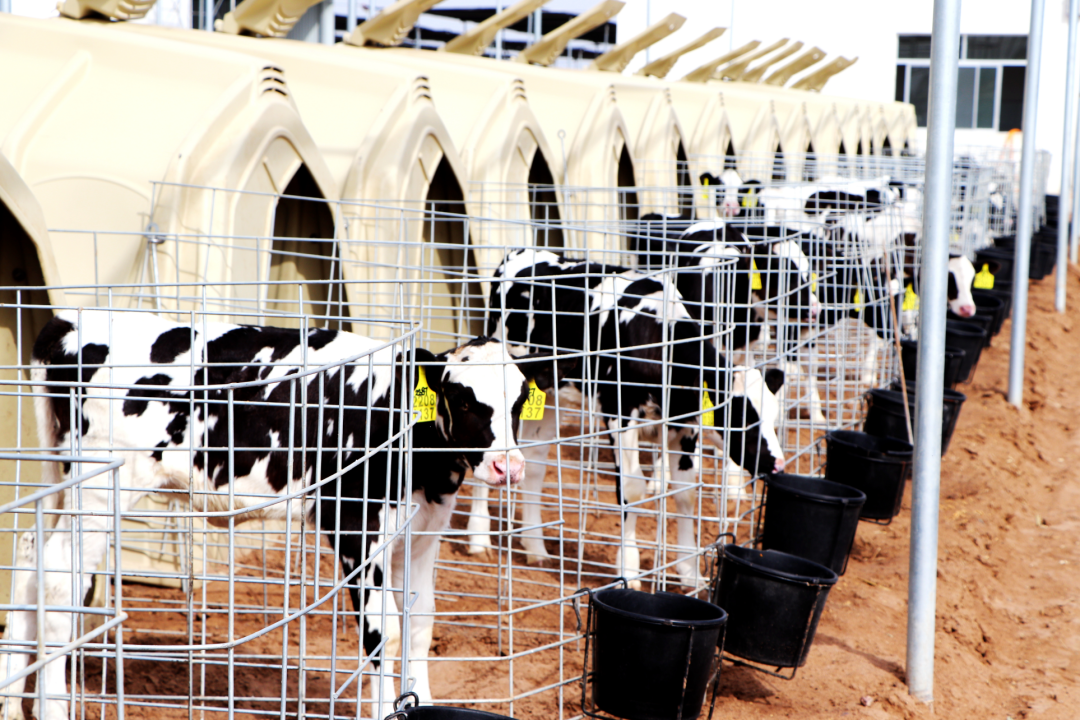 1699061986123852.png 640 (1).png