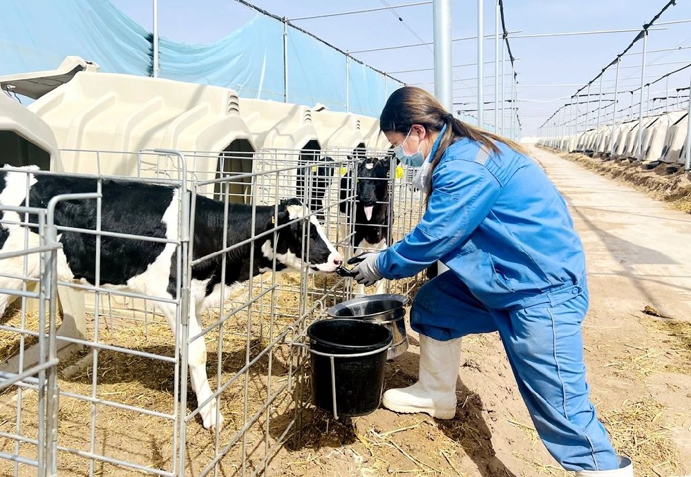 勞動(dòng)書寫詩意，雙手創(chuàng)造美好