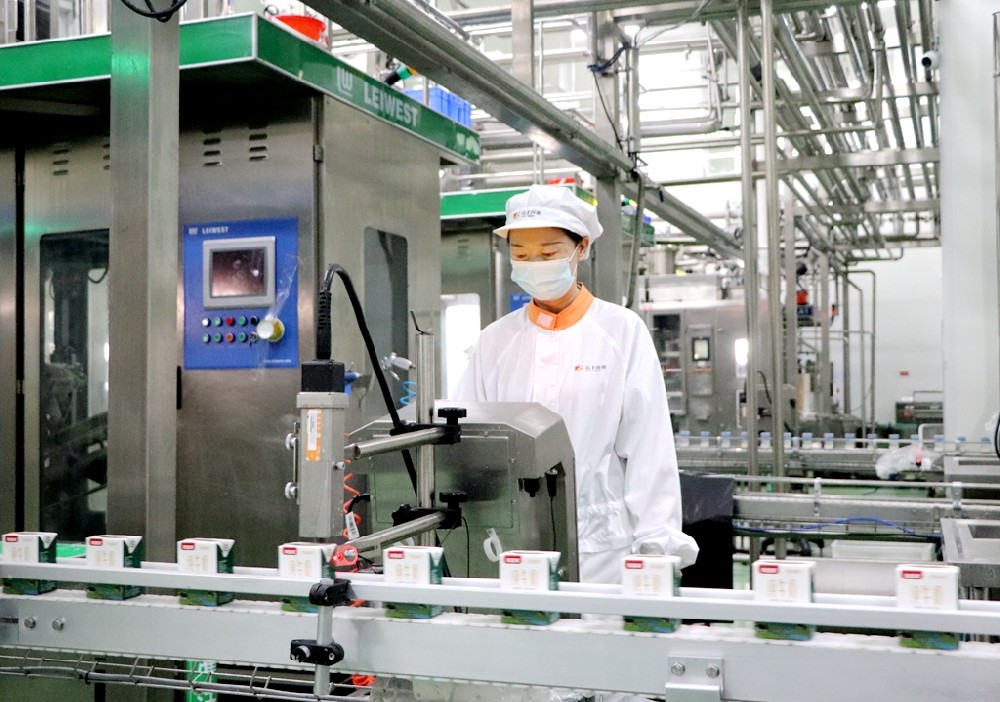 雙節(jié)將至銷售旺，加班趕貨生產(chǎn)忙 ——甘肅前進集團傳祁乳業(yè)開足馬力保供應(yīng)