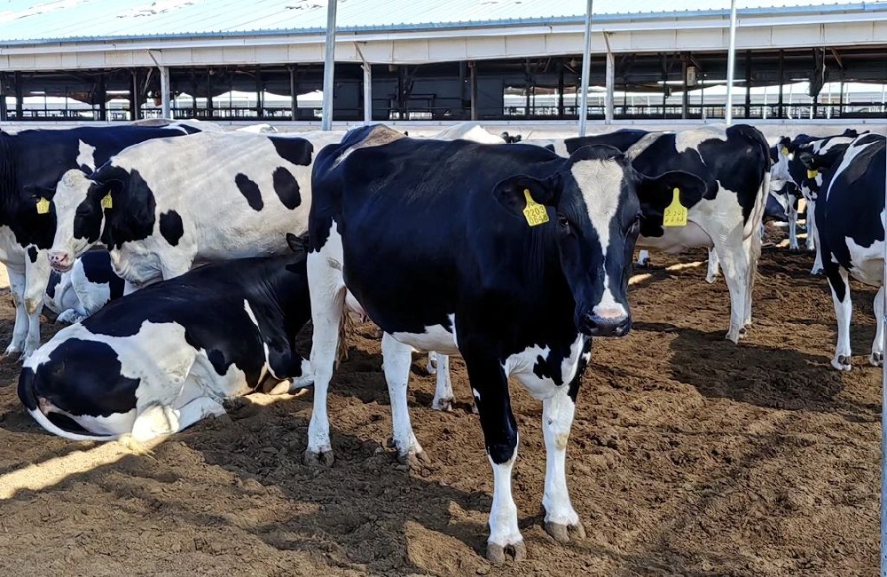 奶?！霸贫洹钡目萍忌?></div>
            </a></li>
          
          <li id=