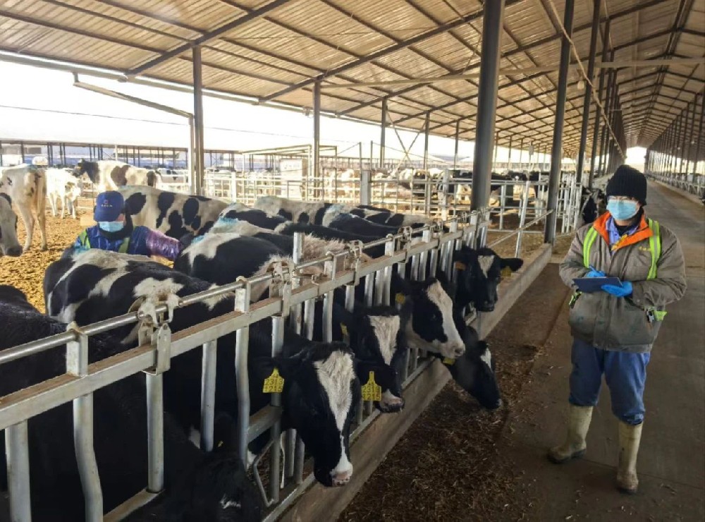 寒風(fēng)中的堅守與擔(dān)當(dāng)