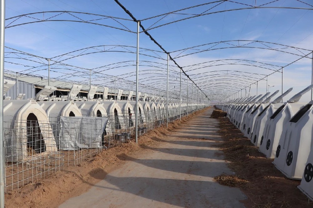 微光閃耀，筑夢前行