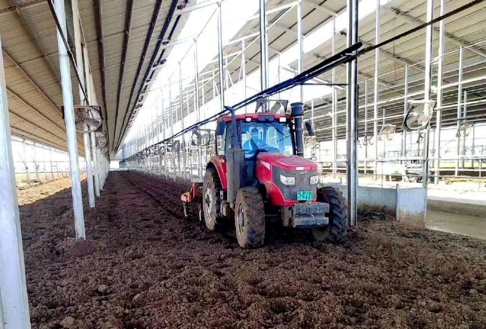 向下扎根，向上生長(zhǎng)