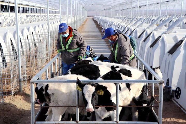 生命的禮贊，成長的史詩