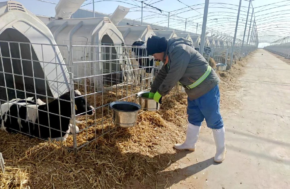 用匠心迎接新生，以責(zé)任呵護(hù)成長(zhǎng)