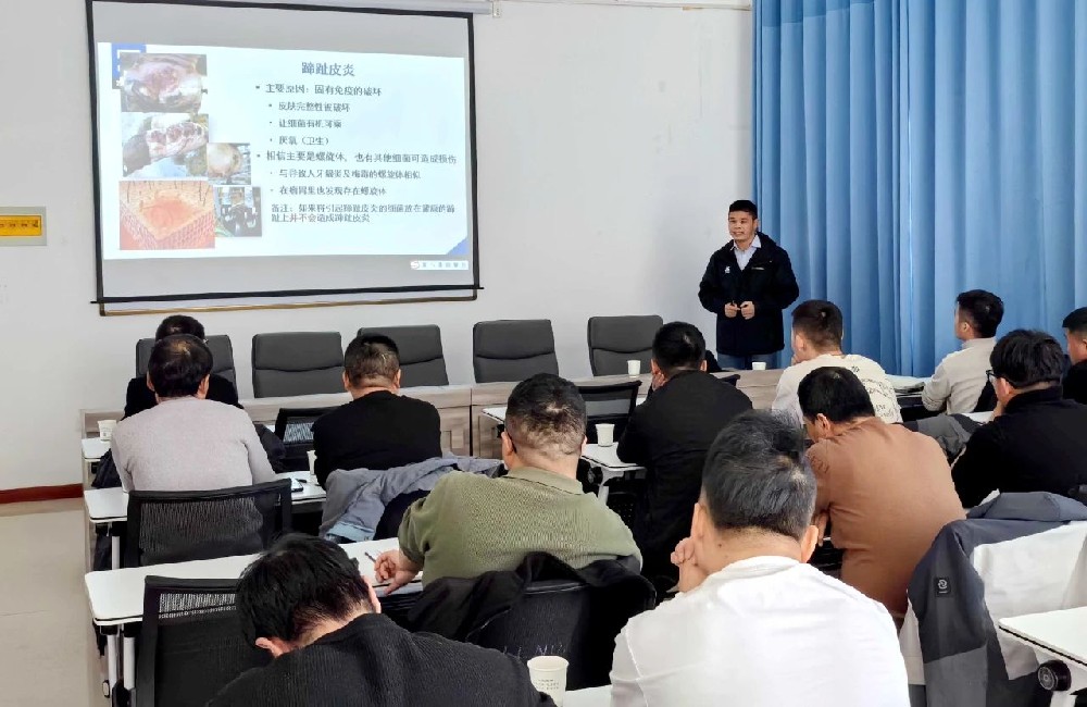 甘肅前進(jìn)牧業(yè)開展奶牛肢蹄健康與蹄病防治專題培訓(xùn)