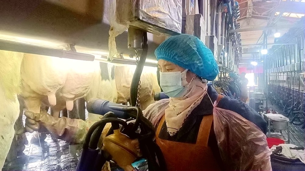 時(shí)光不負(fù)追夢(mèng)人