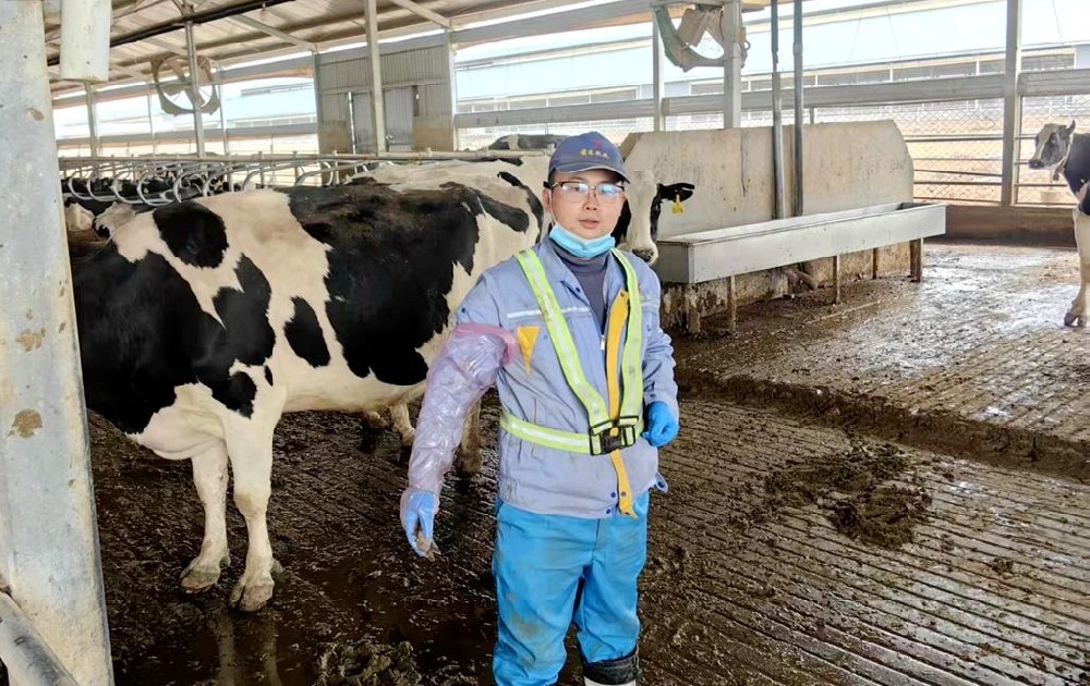 無畏前行，化繭成蝶