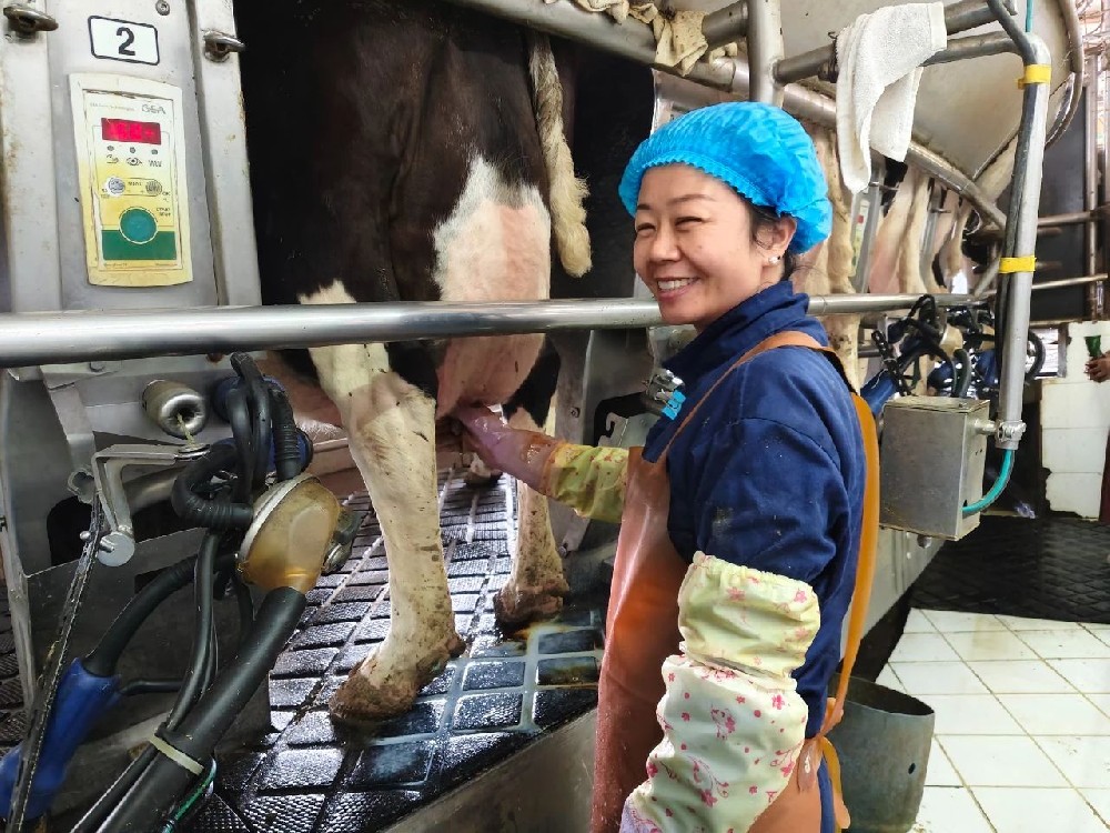 恪盡職守勤奉獻(xiàn)，身體力行作表率