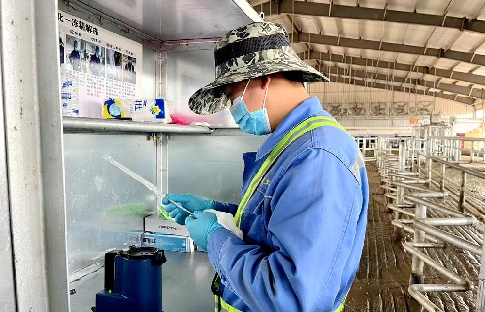 在磨礪中奮進(jìn)，在歷練中成長