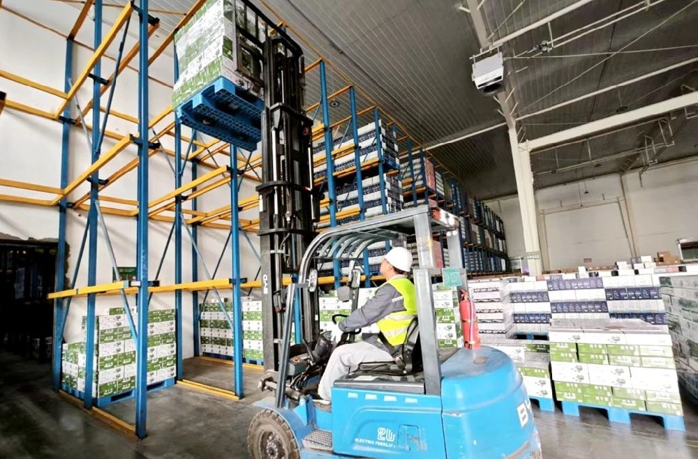 用“大家伙”做“針線活”