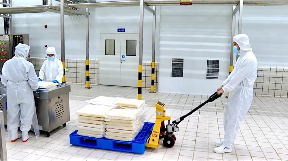 生產“不停歇”，奮斗“不打烊”