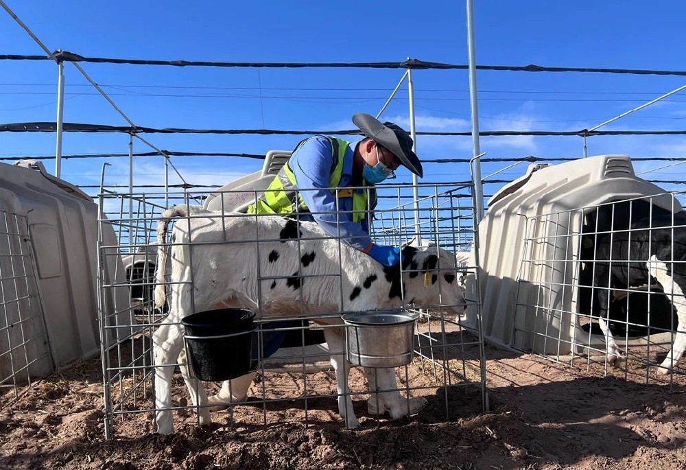 在耕耘中感悟成長