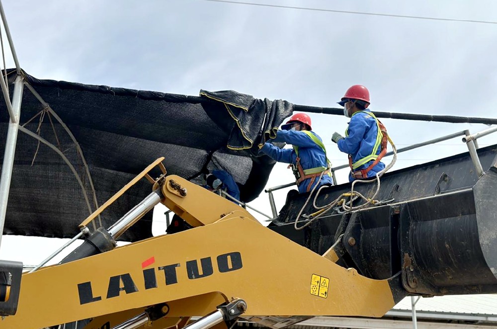 黨員先行筑防線,撐起犢牛成長“保護(hù)傘”