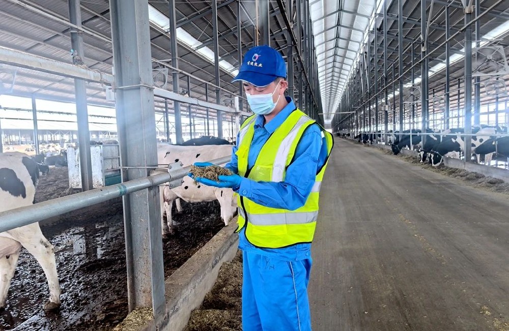 從新手到經(jīng)理的成長進(jìn)階記