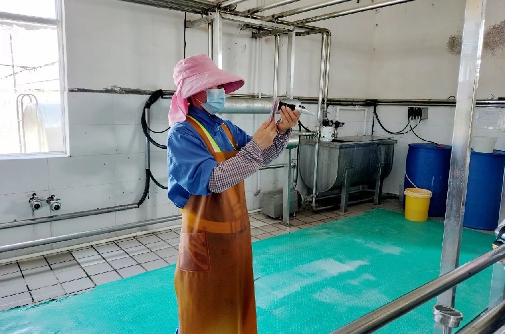 牧場故事多：愛與責(zé)任編織的溫馨篇章