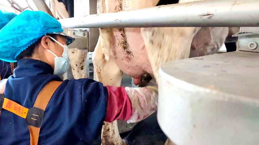 乳白時(shí)光里的堅(jiān)守者