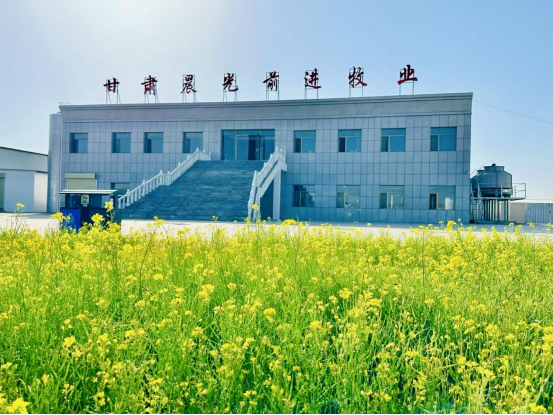 座談交流聽心聲，文化潤心聚合力