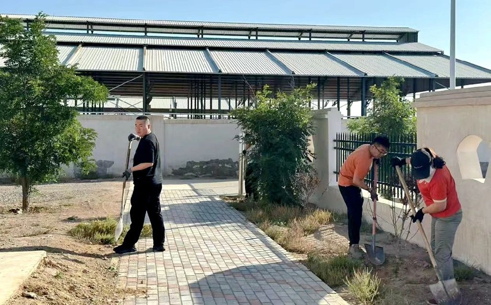 晨光前進牧場：除草護綠美家園