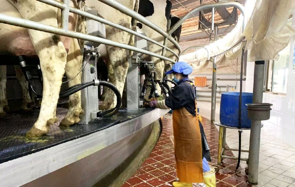 播種希望，收獲喜悅