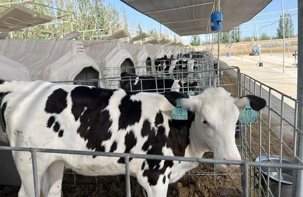 匠心培育未來(lái)產(chǎn)能之星