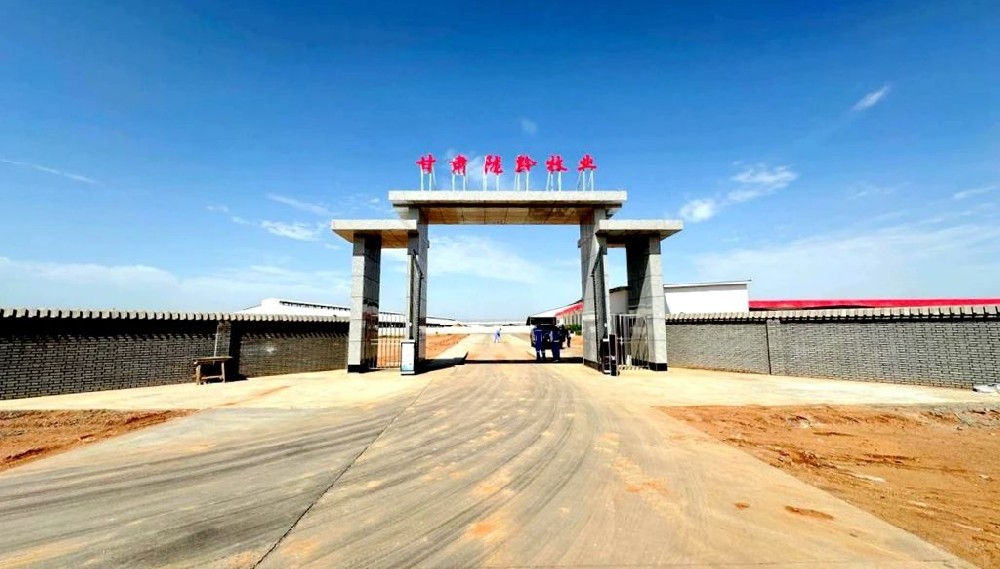 甘肅隴黔牧業(yè)：新建大門及道路工程順利竣工并完成驗收