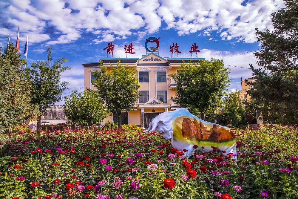 根植沃土，共沐朝陽(yáng)——我與前進(jìn)牧業(yè)同行的歲月