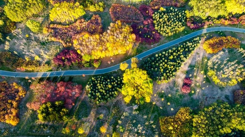 坐在蘆水灣，一杯傳祁酸奶讓夏日的炎熱融入湖中