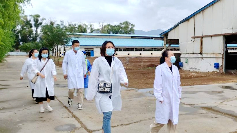 在供需之路上踐行“久久為功”——供應(yīng)部在牧場(chǎng)的交流學(xué)習(xí)心得