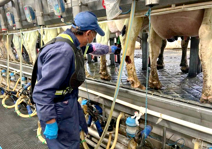 老陳與生命的守望之歌