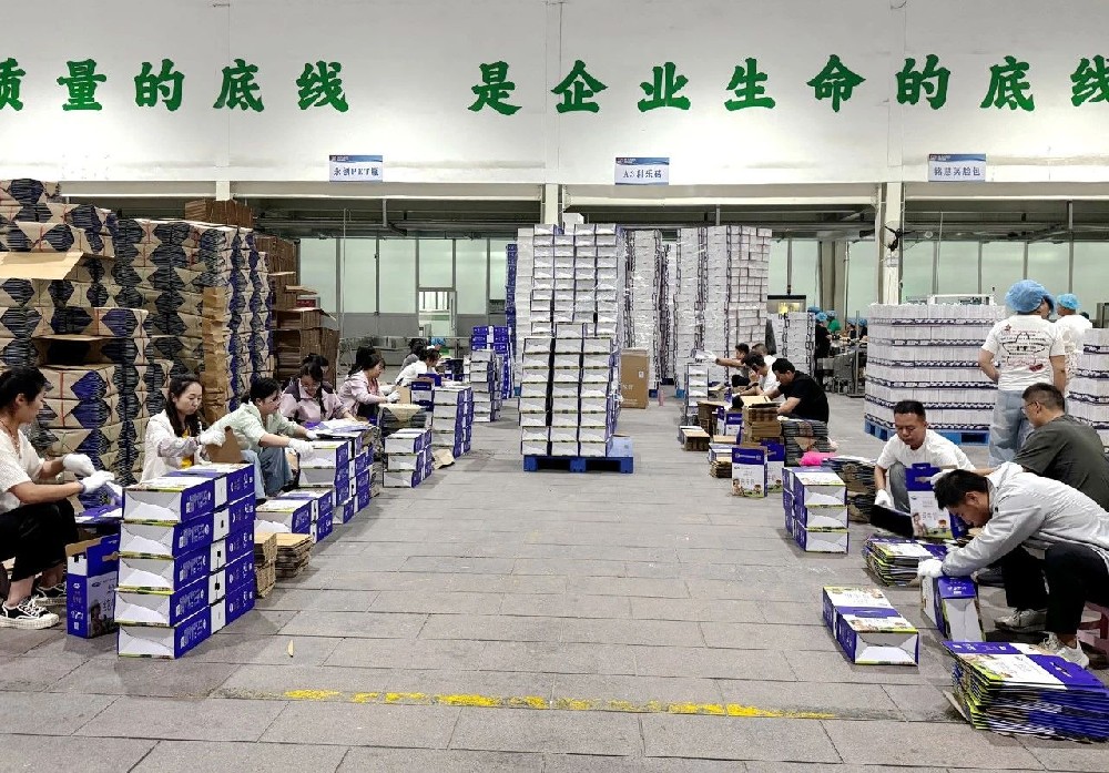 職能部門下沉一線,同心筑牢生產(chǎn)“保障線”