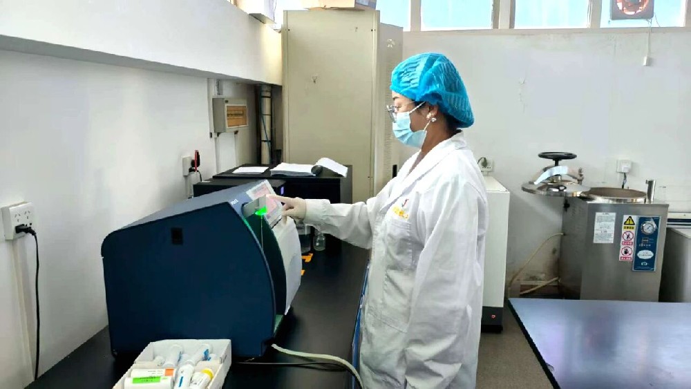 我與前進(jìn)的十年