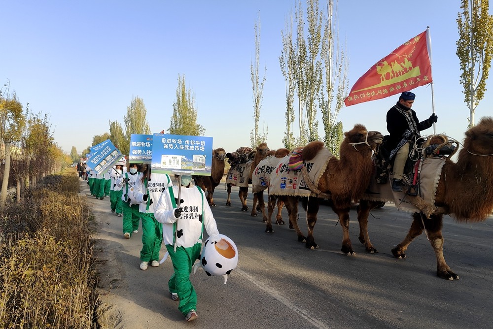 天山駝鈴鳴古道，傳祁牛奶遞溫情——甘肅傳祁乳業(yè)慰問新疆東天山駱駝隊(duì)